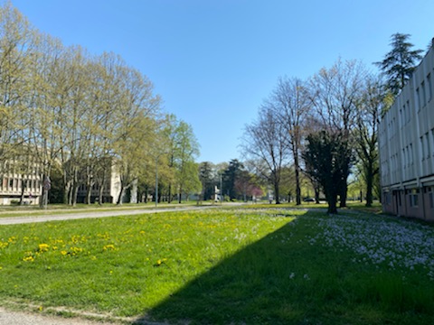 Le campus de Grenoble 