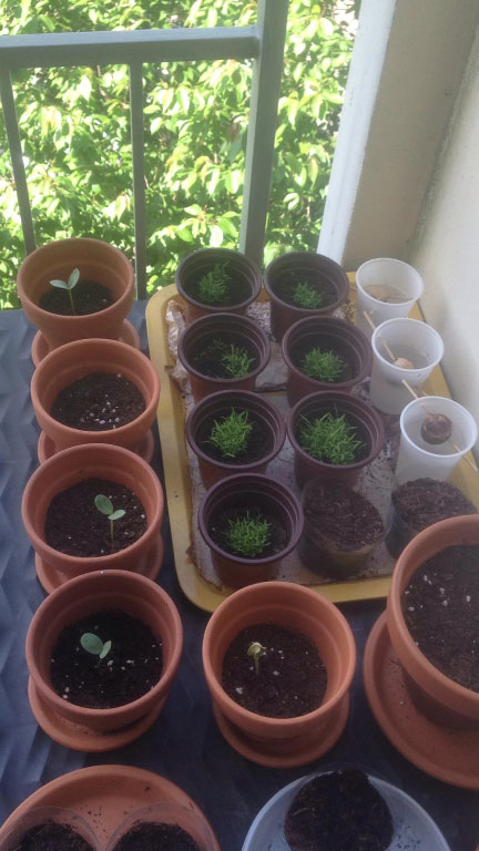 Séance jardinage pour se détendre !